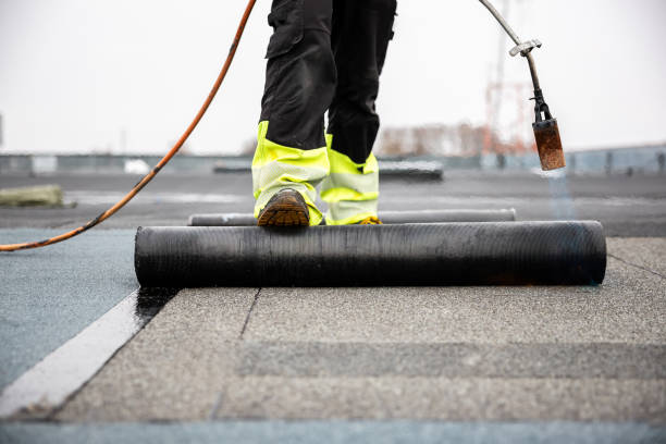 Best Roof Installation  in Ocilla, GA